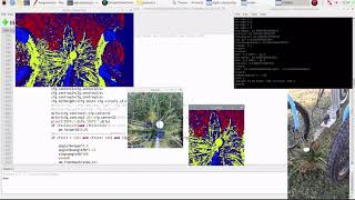 OpenCV AI Competition 2021 - OpenCV